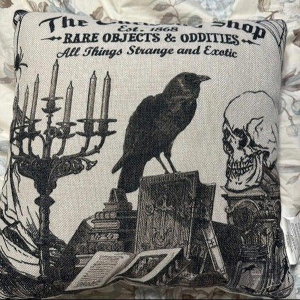 Unique Raven-Inspired Pillow: The Curiosity Shop perfect for Halloween